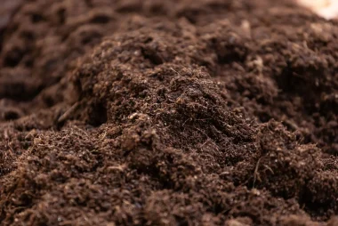 Screened Topsoil